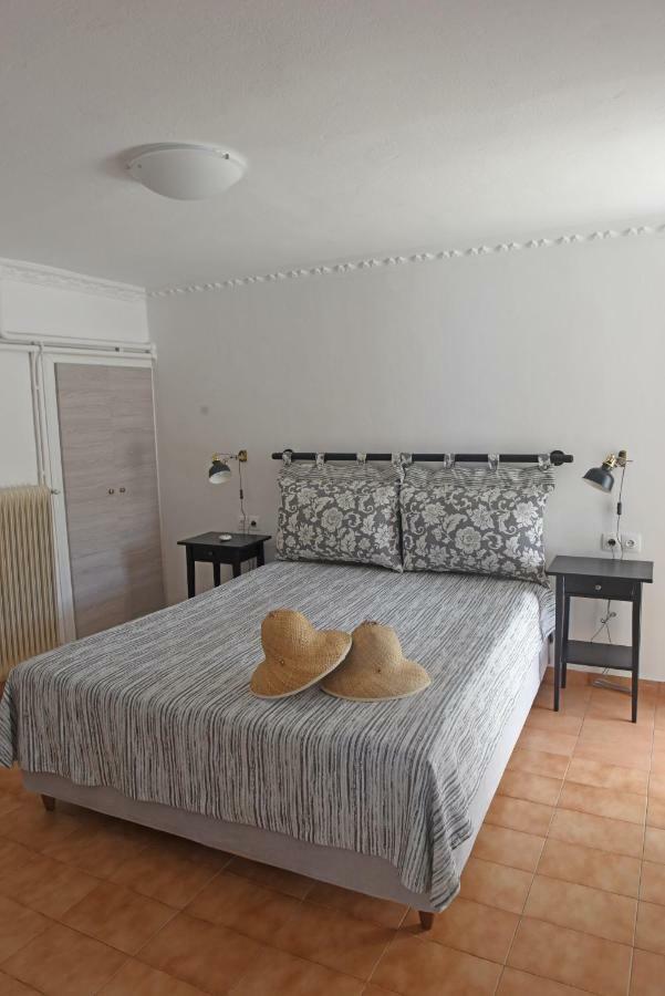 Mare Vista Villa Evdilos  Exterior foto